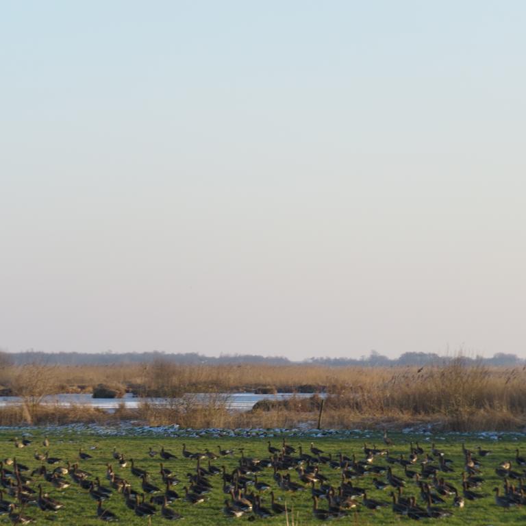 Hotel - Restaurant - Cafe- Geertien Blokzijl Zewnętrze zdjęcie